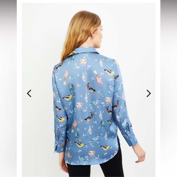 🚺 Pietro Brunelli blue singing bird tunic - Picture 2 of 11